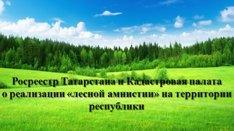 Кадастровая татарстан. Кадастровая палата Лесной Свердловская область. Фотоконкурс кадастровая палата. Кадастровая палата Аскарово.